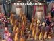 �rf/T�re ve �detlerimiz �zerine Bir Ara�t�rma