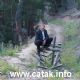 Ge�mi�e Tan�kl��m-2